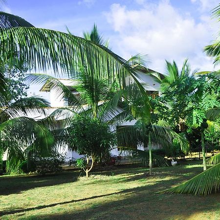 Hotel Coconut Garden House Udawalawe Exteriér fotografie