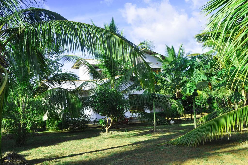 Hotel Coconut Garden House Udawalawe Exteriér fotografie