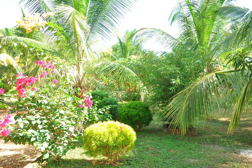 Hotel Coconut Garden House Udawalawe Exteriér fotografie