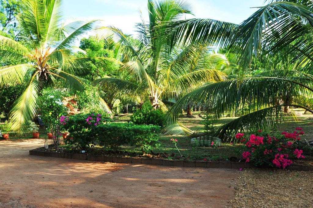 Hotel Coconut Garden House Udawalawe Exteriér fotografie