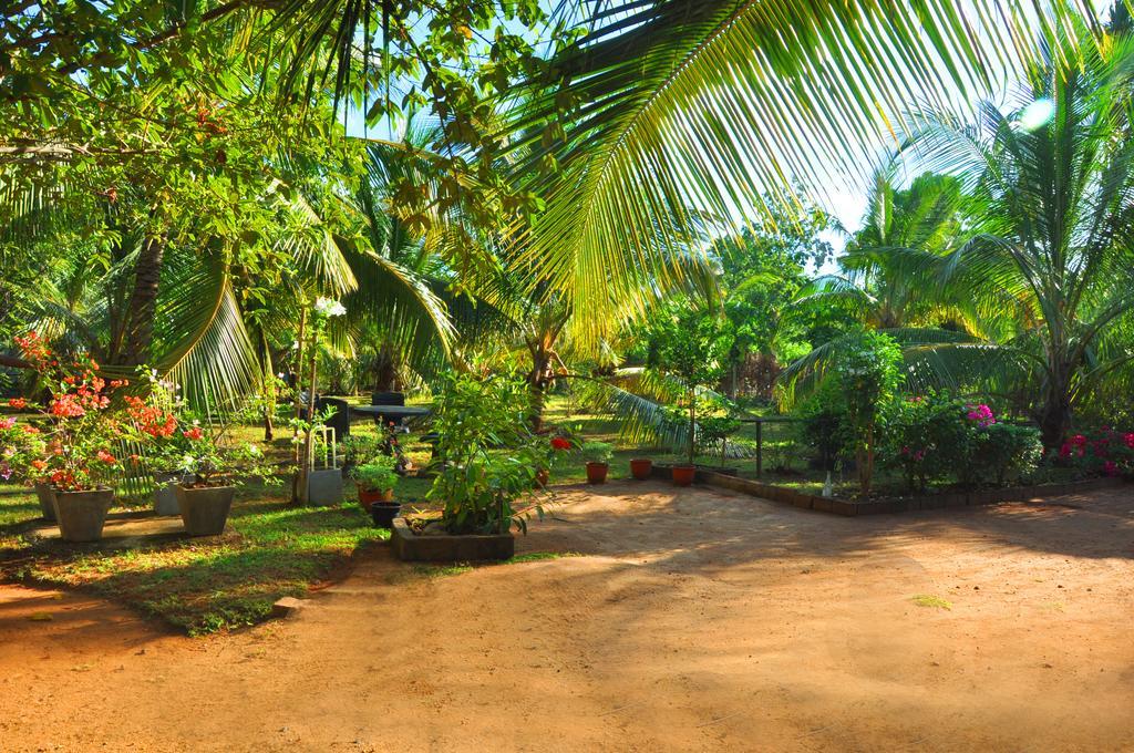 Hotel Coconut Garden House Udawalawe Exteriér fotografie