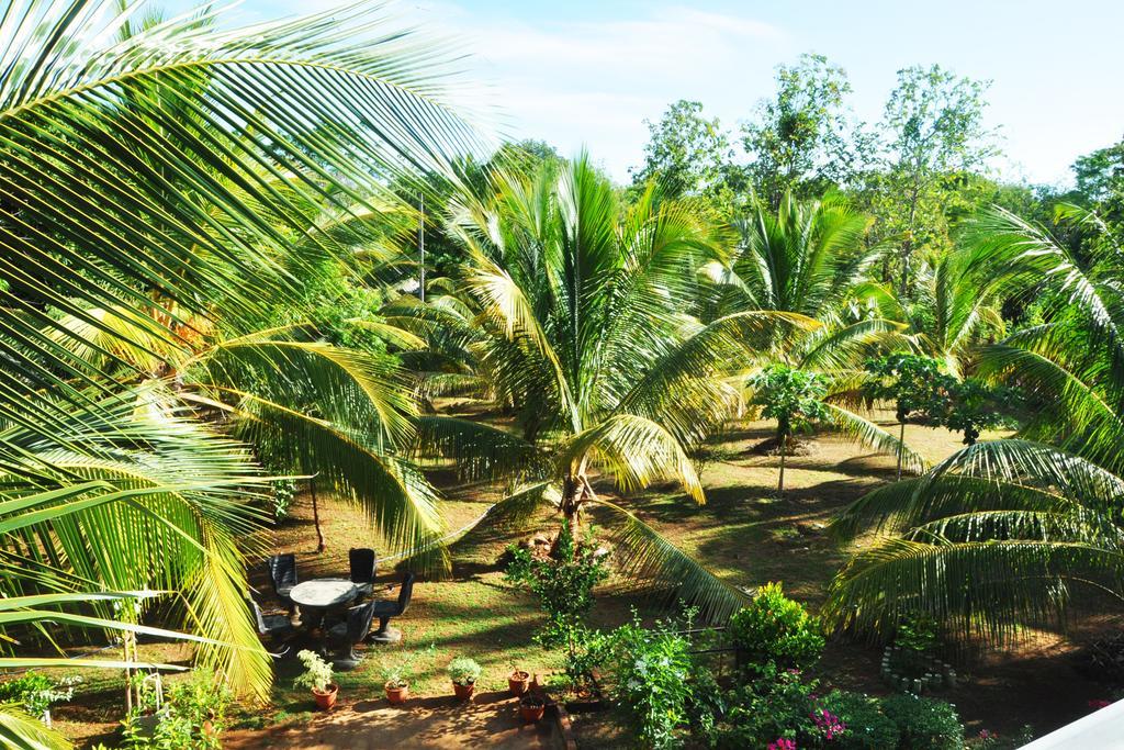 Hotel Coconut Garden House Udawalawe Exteriér fotografie